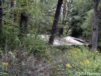 Elkmont05