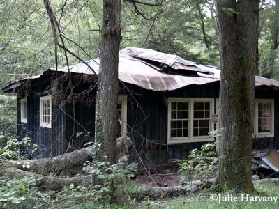 Elkmont07