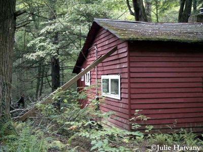 Elkmont10