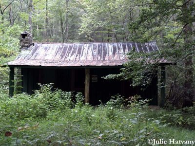Elkmont13