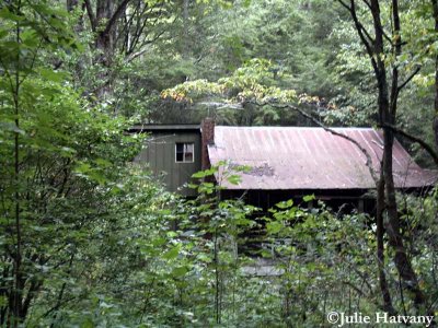 Elkmont16