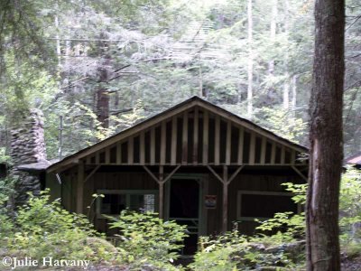 Elkmont17