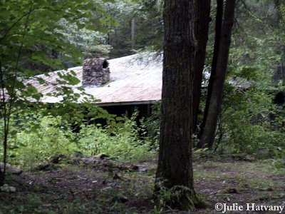 Elkmont18