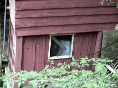 Elkmont21