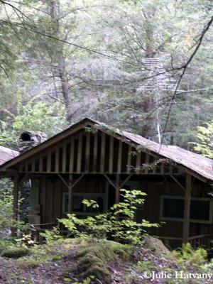 Elkmont23