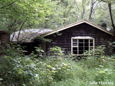 Elkmont24