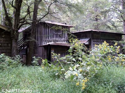 Elkmont25