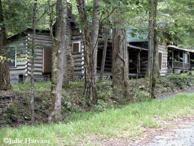 Elkmont35