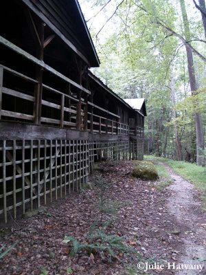 Elkmont40