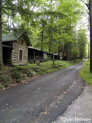 Elkmont42