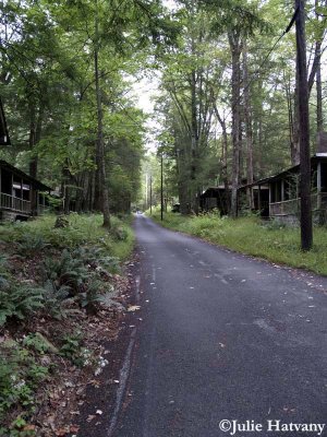Elkmont43