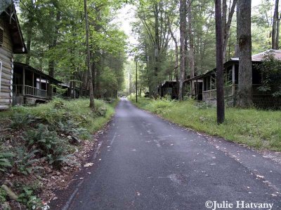 Elkmont45