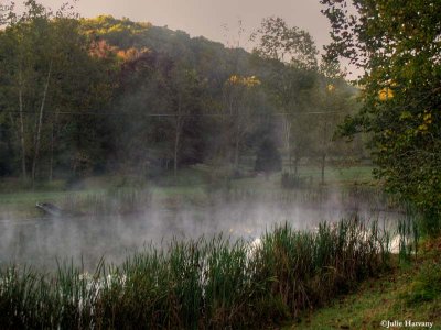 Pond and Fog