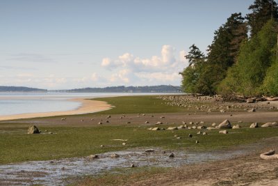 g6/23/771723/3/78622279.Nz8cB8QO.jpg