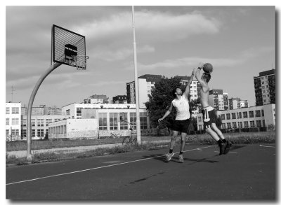 basket