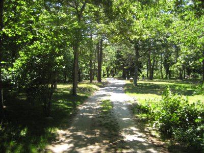 IMG_1279.JPG