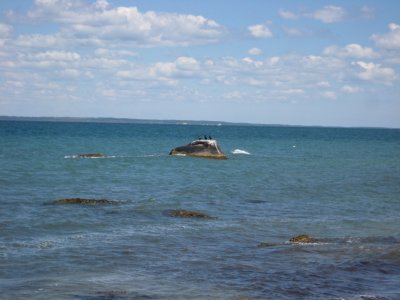 IMG_1297.JPG