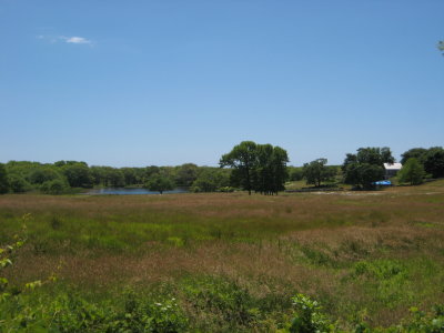 IMG_1301.JPG