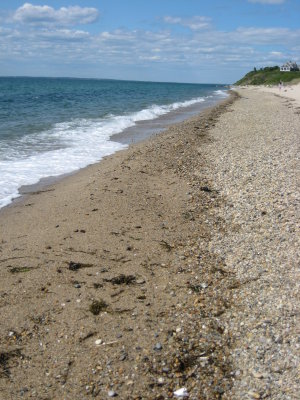 IMG_1318.JPG