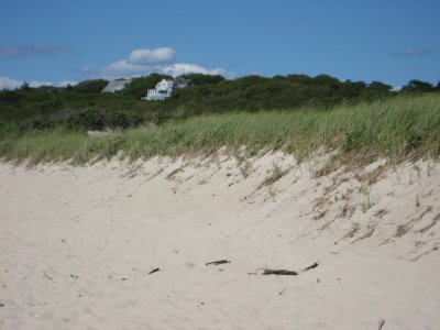 IMG_1319.JPG