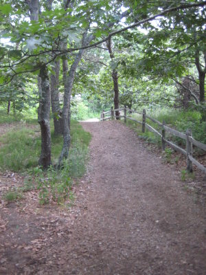 IMG_1325.JPG