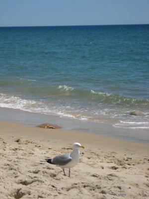 IMG_1370.JPG