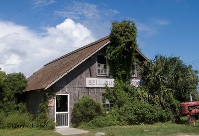 Edisto