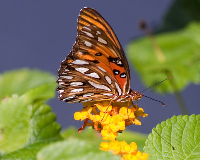 15_edited-1.jpg