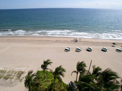 View from our patio at the Beachcomber Hotel, Pompano Beach, Florida (10-06)