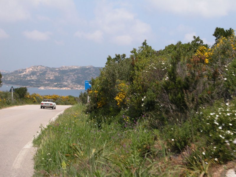 DSCN5857.JPG