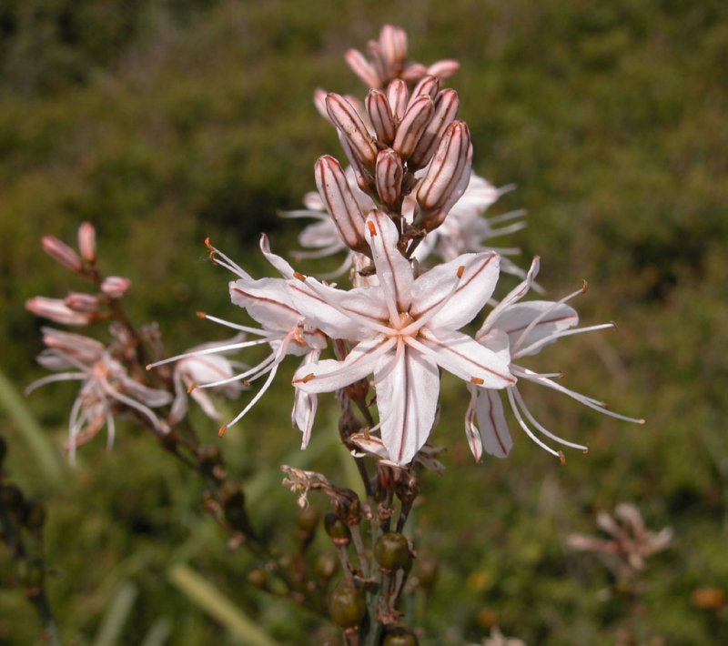 DSCN5868.JPG