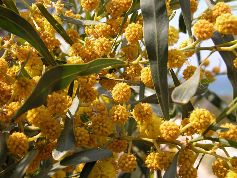 DSCN5889.JPG