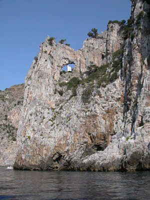 Torre