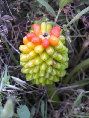DSCN5870.JPG