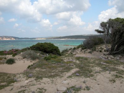 DSCN5873.JPG