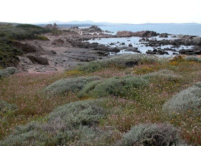 DSCN5888.JPG