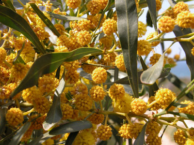 DSCN5889.JPG