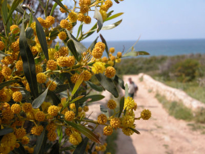 DSCN5890.JPG