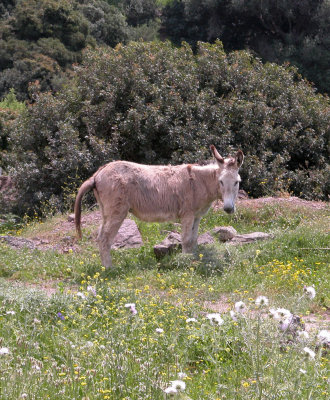 DSCN5912.JPG
