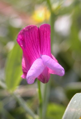 DSCN5913.JPG