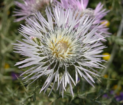 DSCN5914.JPG