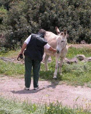 Fratello !
