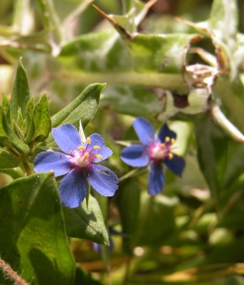 DSCN5917.JPG
