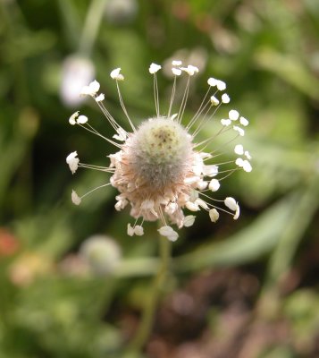 DSCN5918.JPG