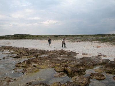 DSCN5972.JPG