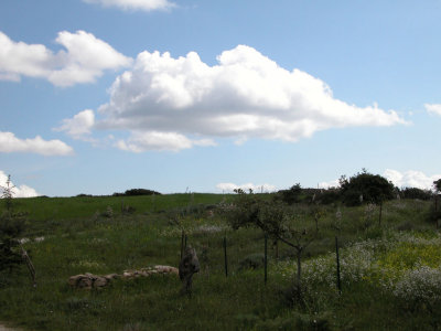 DSCN5979.JPG