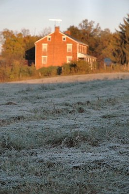 frosty morn_0478