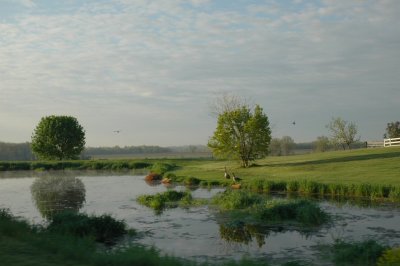 sunrise pond