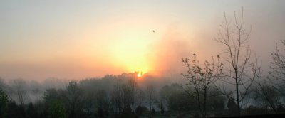 misty sunrise_0025