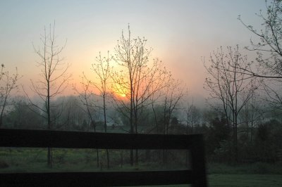 misty spring sunrise